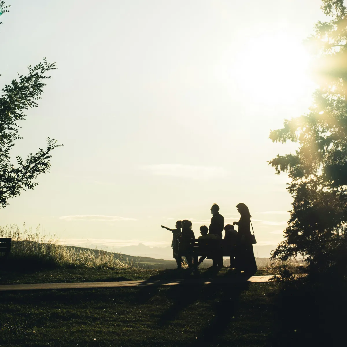 Family Systems Therapy